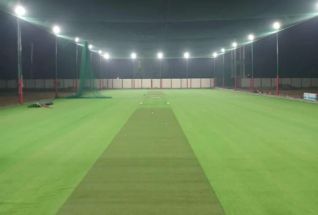Turf photo 6