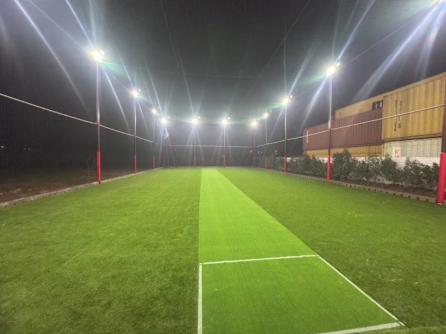 Turf photo 2