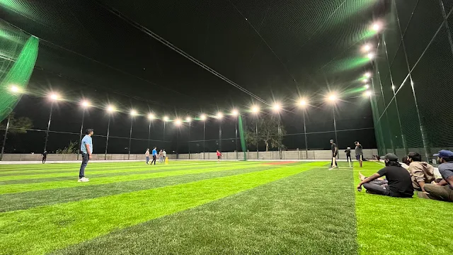 Turf photo 2