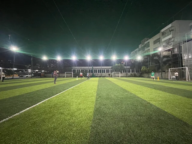 Turf main photo