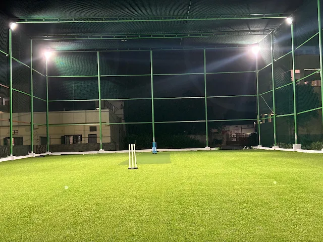 Turf photo 7