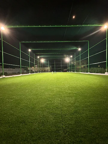 Turf photo 8