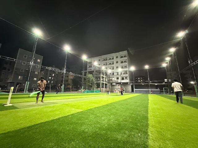 Turf photo 2