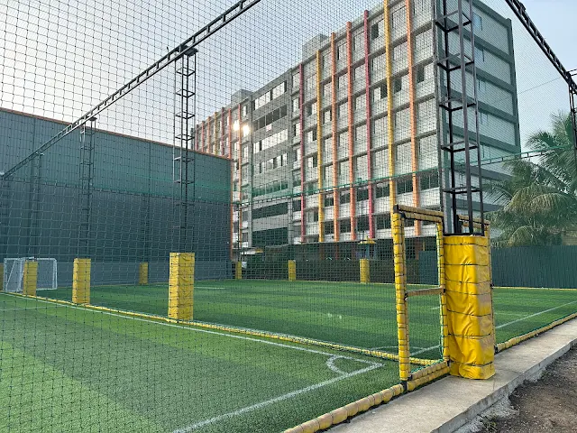 Turf main photo