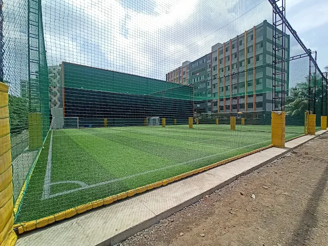 Turf photo 9