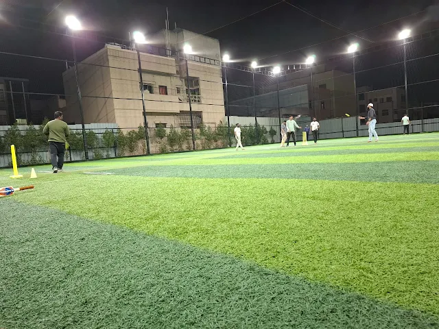 Pro Turf and Pro Pickleball