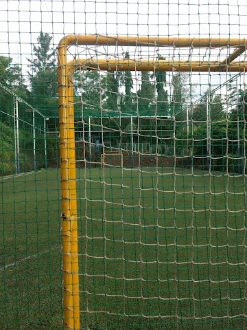 Turf photo 10