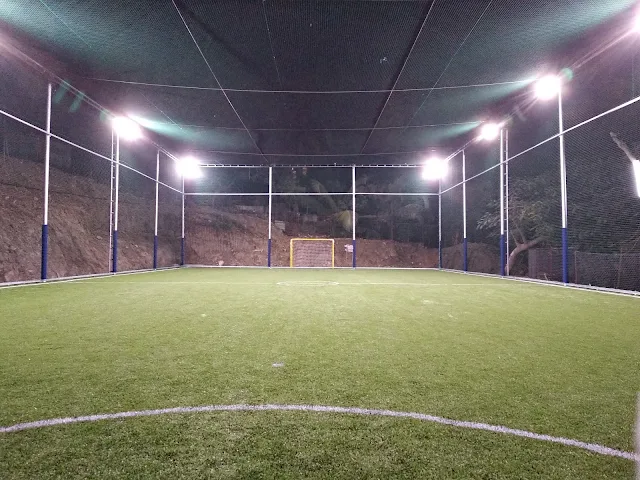 Turf photo 9