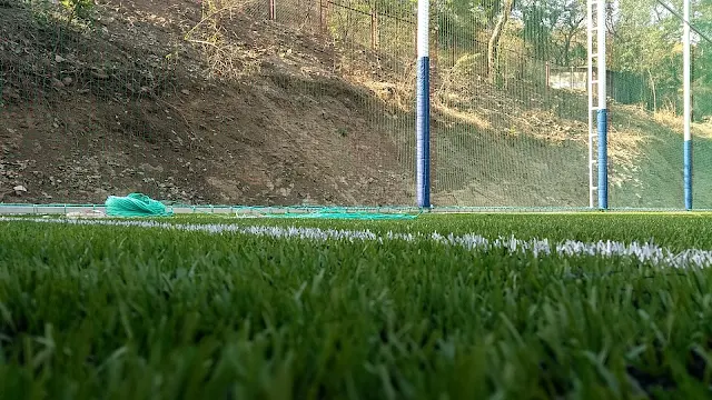 Turf photo 5
