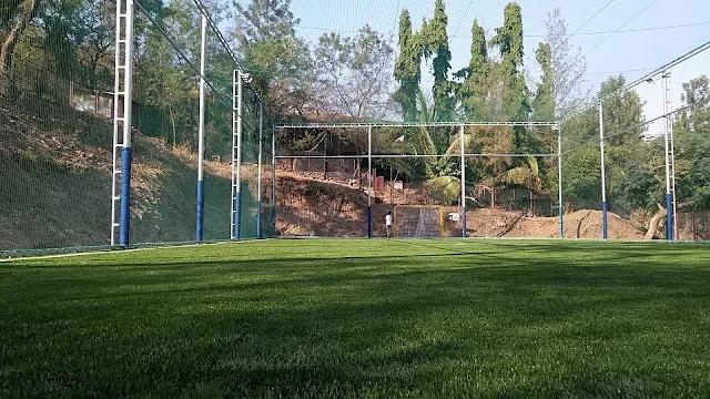 Turf main photo