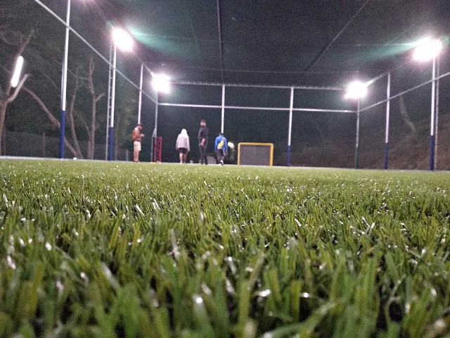 Turf photo 2