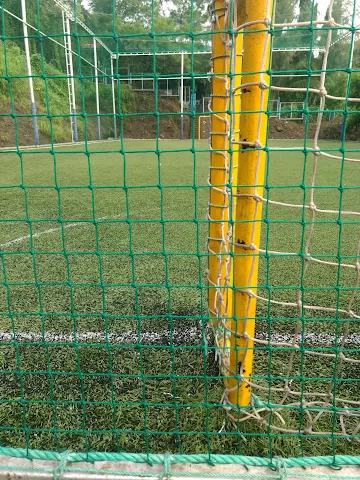 Turf photo 11