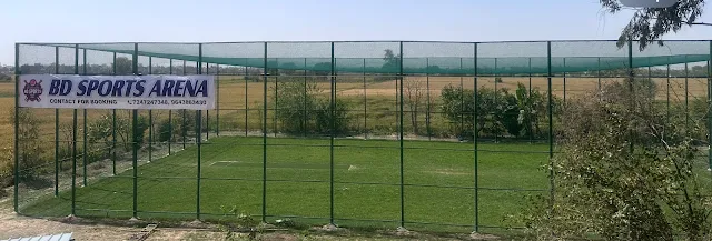 Turf photo 3
