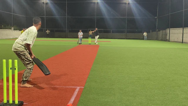 Turf photo 2