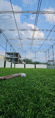 Turf photo 3