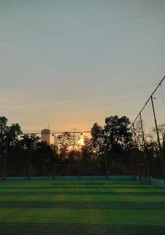Turf photo 3