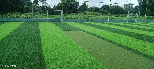 Turf photo 4
