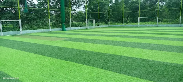 Turf photo 2