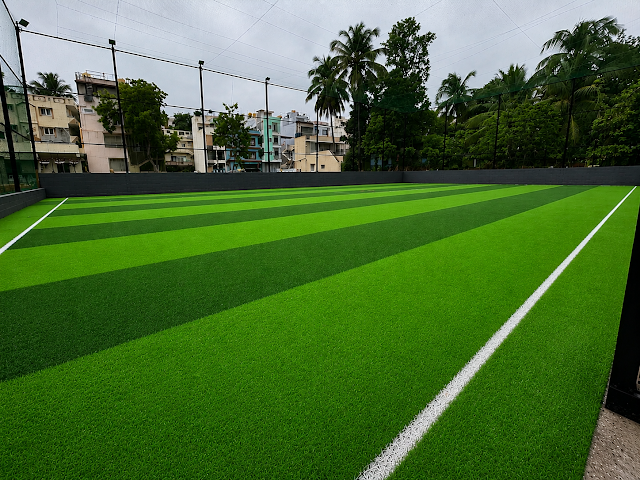 Turf photo 3