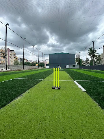 Turf photo 5
