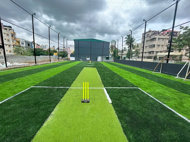 Turf photo 8
