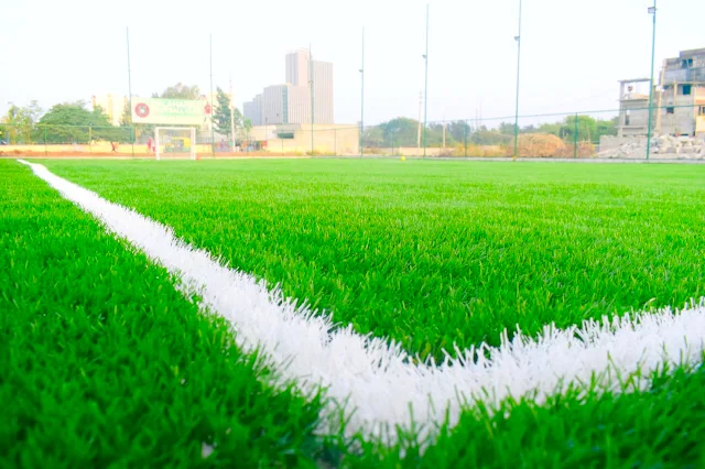 Turf photo 2