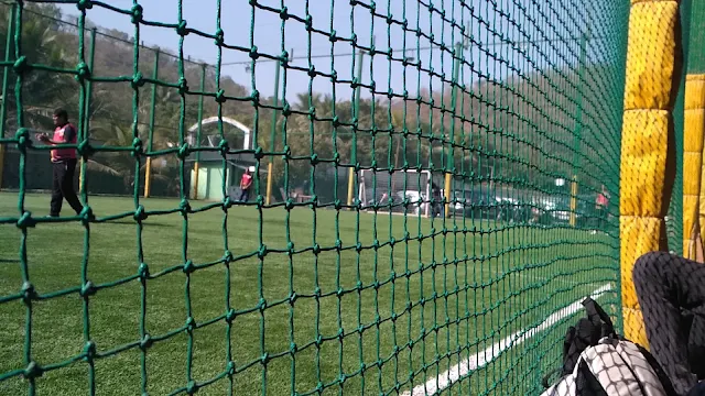 Turf photo 2