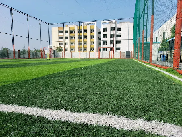 Turf photo 4