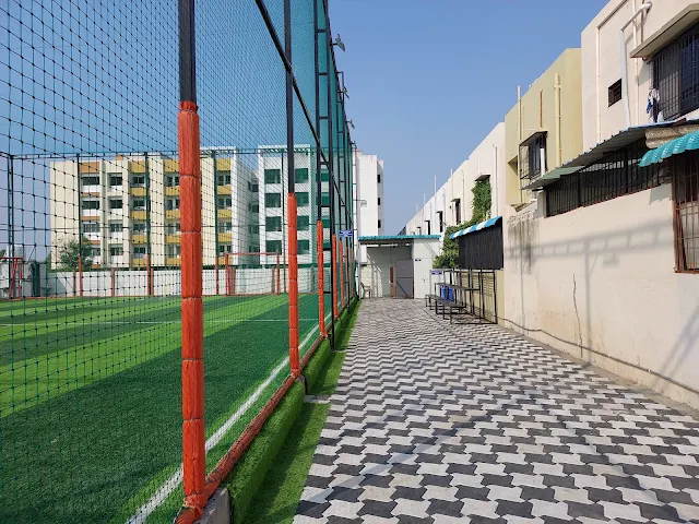 Turf photo 3
