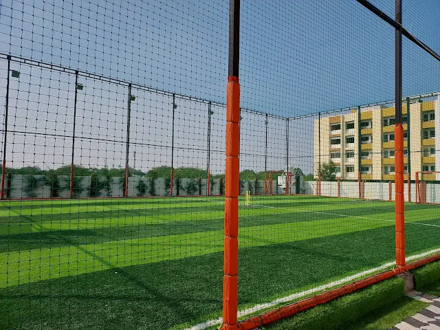 Turf photo 2
