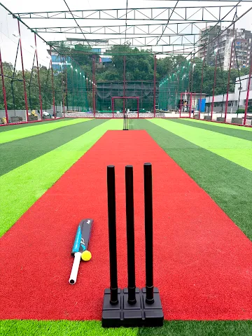Turf photo 6