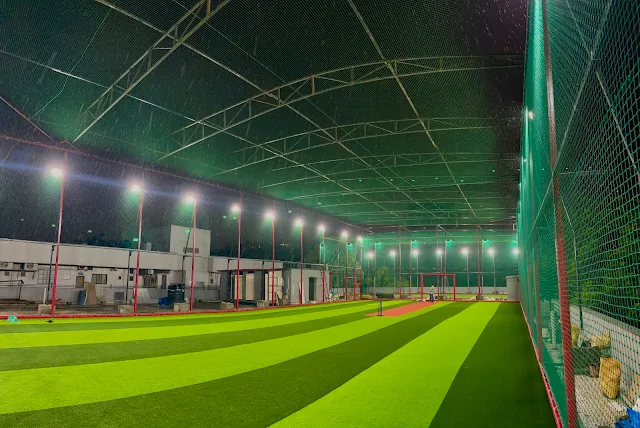 Turf photo 2