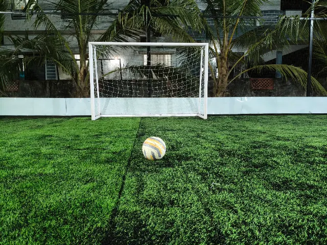 Turf photo 8