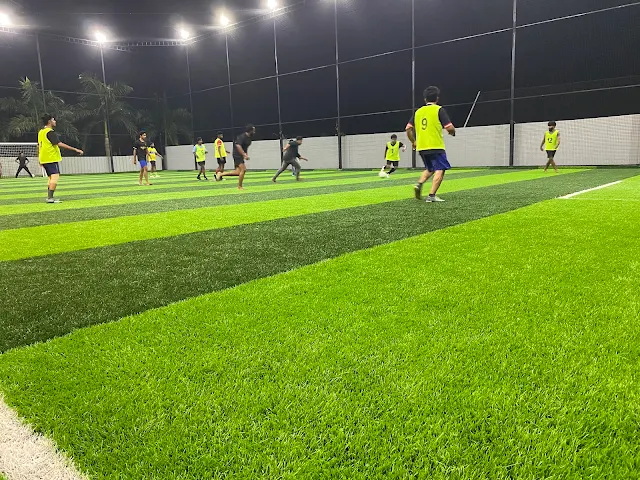 Turf photo 2