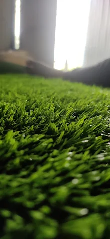 Turf photo 4
