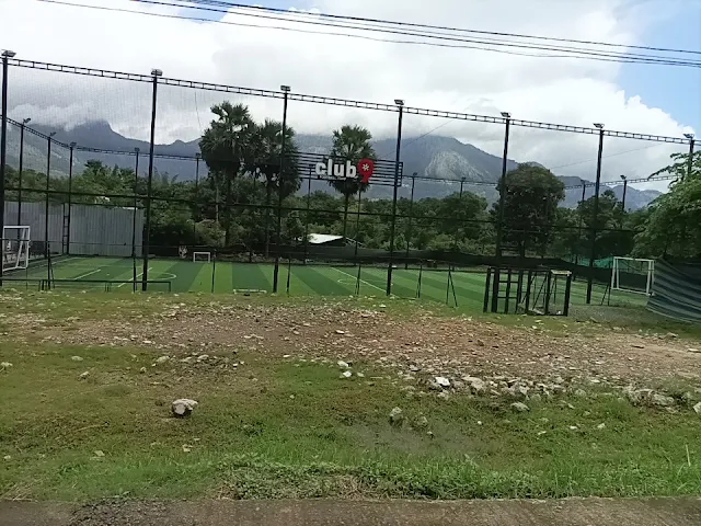 Turf photo 5