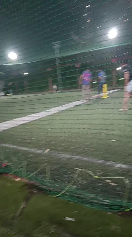 Turf photo 3