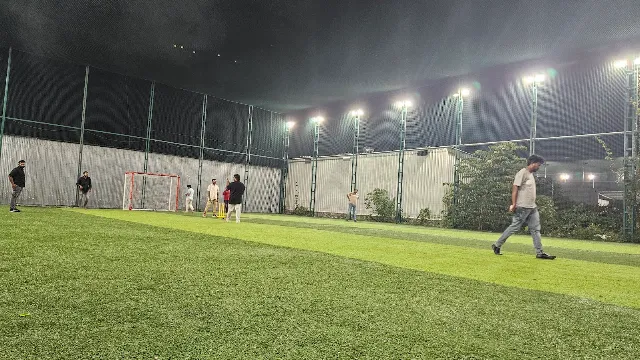 Turf photo 2