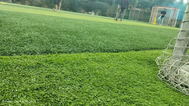 Turf photo 7