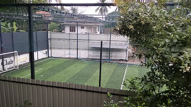 Turf main photo