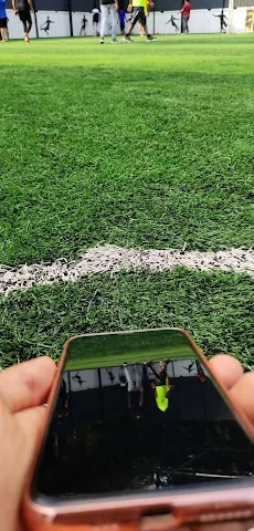 Turf photo 5