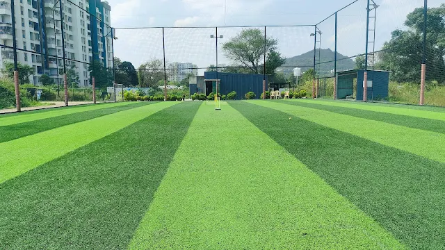 Turf main photo