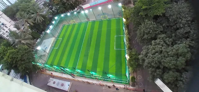 Turf main photo