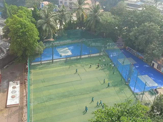 Turf photo 2