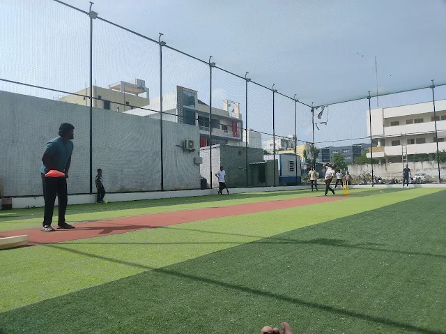 Turf main photo