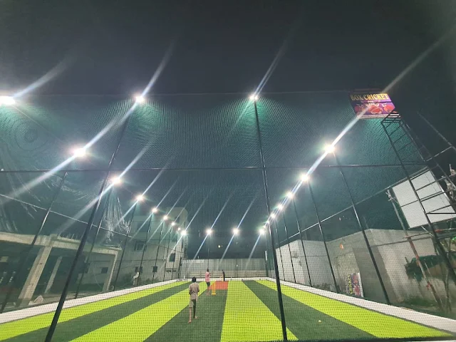 Turf photo 3