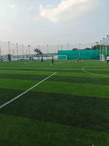 Turf photo 3