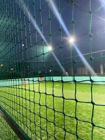 Turf photo 2