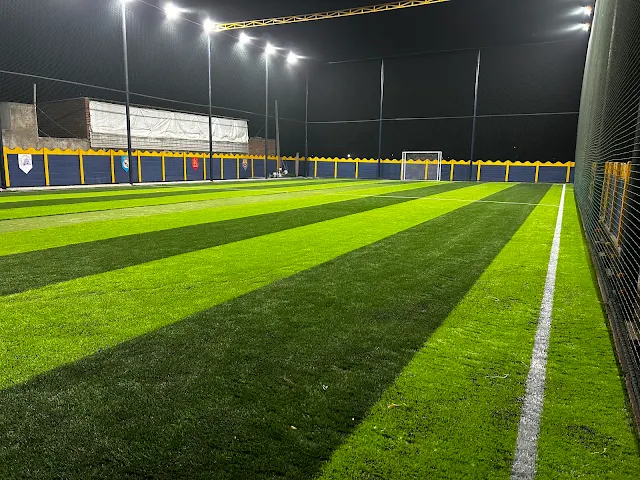 Turf photo 2