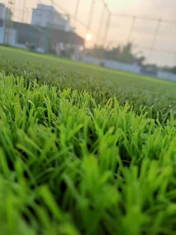 Turf photo 6